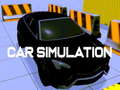 Car simulation
