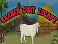 Saanen Goat Escape