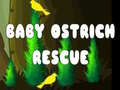 Baby Ostrich Rescue