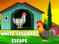 White Leghorns Escape