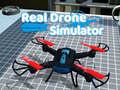 Real Drone Simulator