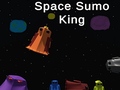Space Sumo King