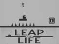 Leap of Life
