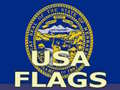 Usa Flags 