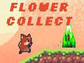 Flower Collect