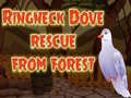 Ringneck Dove Rescue From Forest
