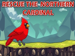 Rescue The Northern Cardinal
