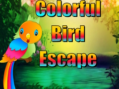 Colorful Bird Escape