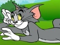 Tom and Jerry ATV Adventure