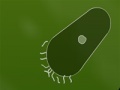 Microbe kombat