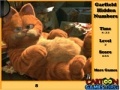 Garfield Hidden Numbers