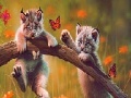 Cute naughty cats slide puzzle