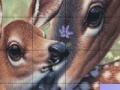 Deers and Lovely Day Slide Puzzle