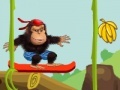 Gorilla jungle ride