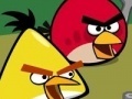 Memory - Angry Birds