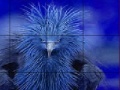 Timid blue bird slide puzzle
