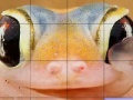 Pink frog slide puzzle