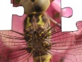 Jigsaw: Dragonfly