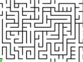 Daily Mouse Maze