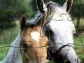 Puzzle Horses