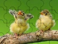 Two cute sparrow puzzle