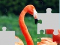 Flamingo puzzle