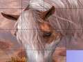 Slide Puzzle: Horse