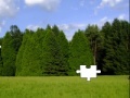Jigsaw: Tree