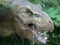 Tyrannosaurus Rex Jigsaw