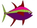 Fish Coloring