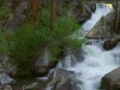 Wild Creek