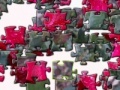 Rose: Jigsaw Puzzle