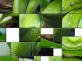 Emerald Boa Slider Puzzle