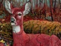 Alone deer in the forest puzzle
