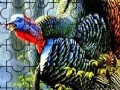 Colorful turkey in the forest puzzle