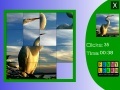 Slide puzzle: Alone Stork 