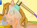 Girly Horse Pet Care