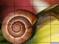 Snail and flower slide puzzle