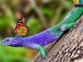 Lizard and butterflies puzzle