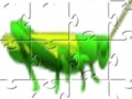 Grass Hopper Jigsaw