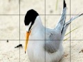 Orange beak bird slide puzzle
