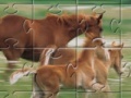 Horse Family Jigsaw Puzzle