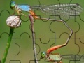 Wild Flies Puzzle