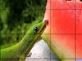 Hungry chameleons slide puzzle