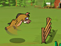 Kaban Racetrack
