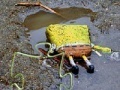 SpongeBob Found Dead Jigsaw Puzzle