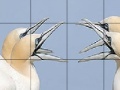 Talkative white birds slide puzzle