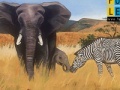 Zebra And Elephants: Puzzle