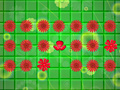Flower Burst
