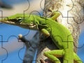 Chameleon On The Tree: Puzzle